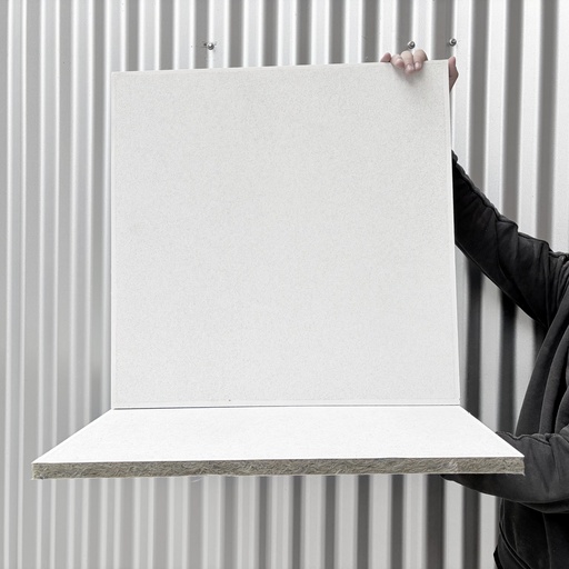 [5.3.298] Dalles de faux plafonds ép: 2cm